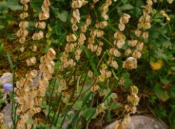 2013-08-17_Wettersteinhuette _Regina-F-Rau (072).JPG